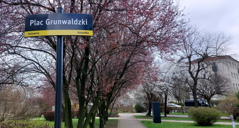 Plac Grunwaldzki.