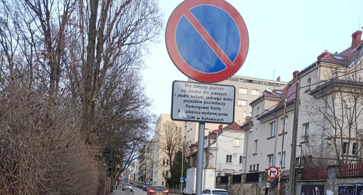 Zieleń, MZUiM usunąć znaku drogowego zieleńca twierdzi zrobił zieleniec jednak zrobił - zdjęcie, fotografia