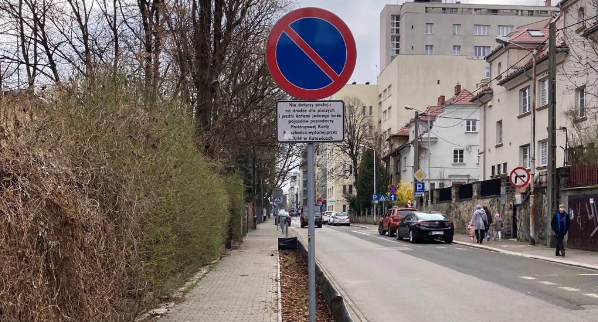 Zieleń, MZUiM przyznaje okłamał mieszkańca sprawie zieleńca centrum miasta znaku razie usunie - zdjęcie, fotografia