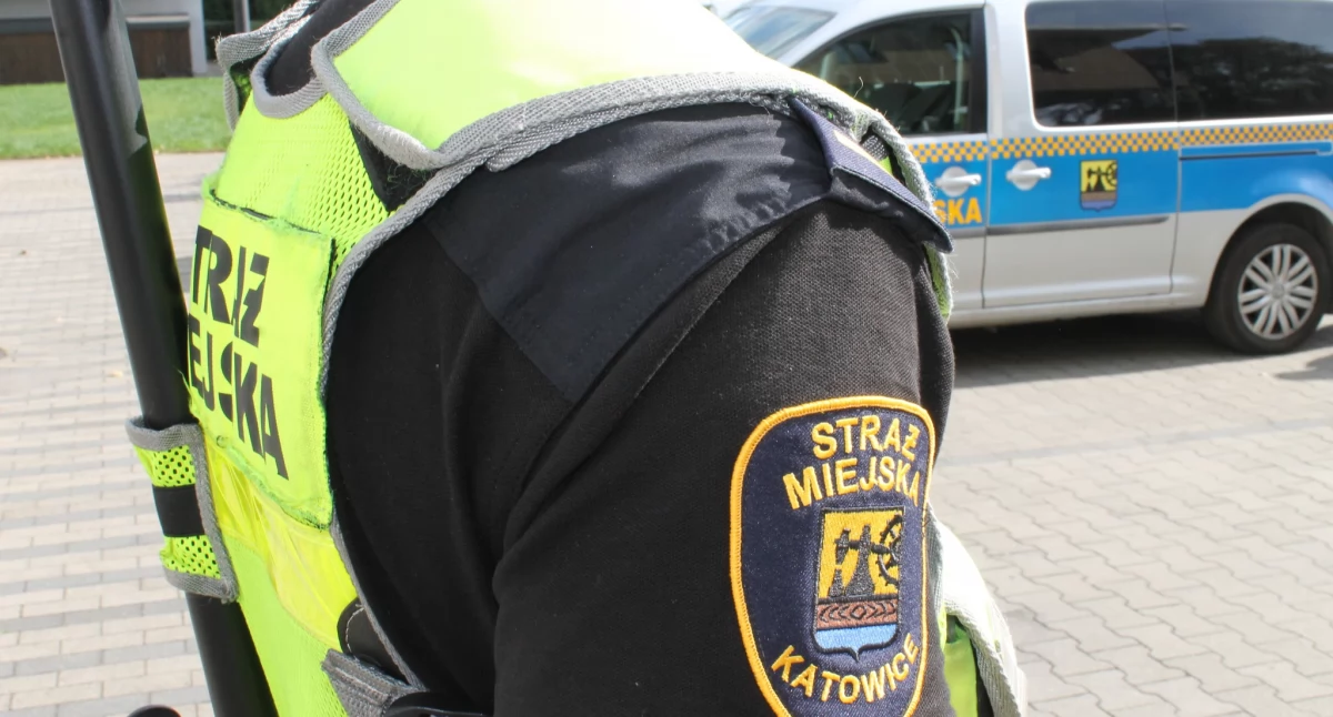 fot. Straż Miejska w Katowicach