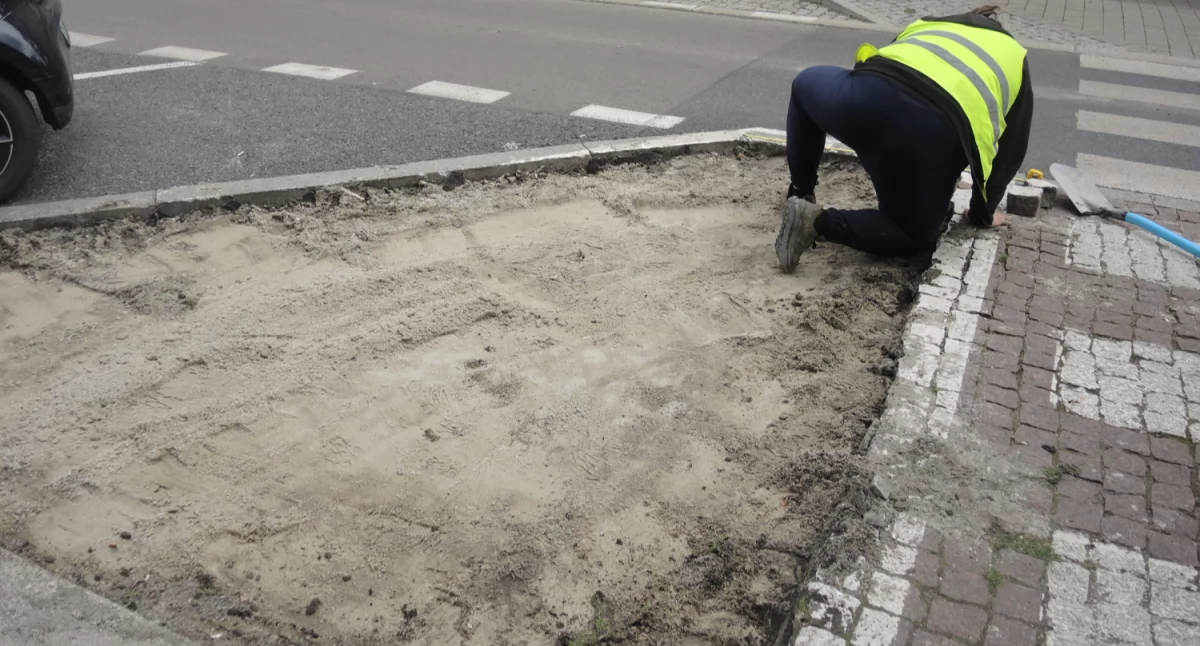 Zieleń, jednak zazielenić byłe miejsca parkingowe Właśnie zaczęły prace centrum Katowic - zdjęcie, fotografia
