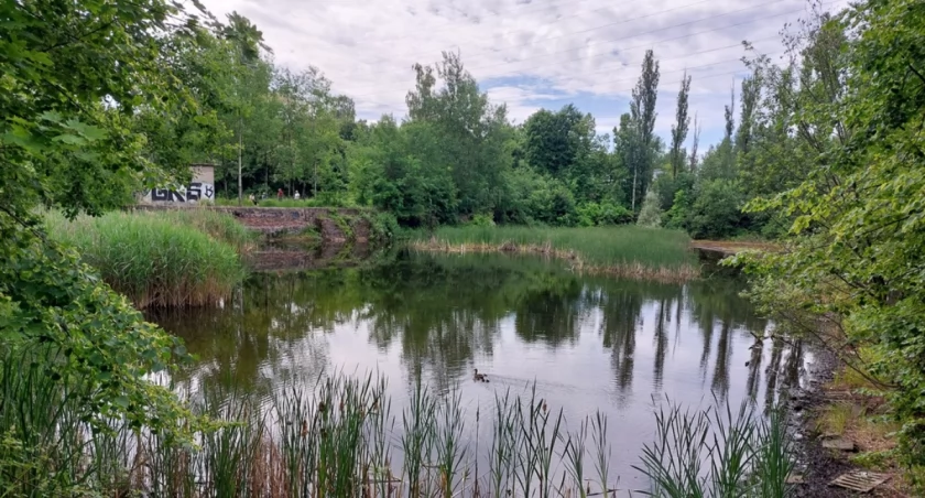 Teren planowanej inwestycji.
