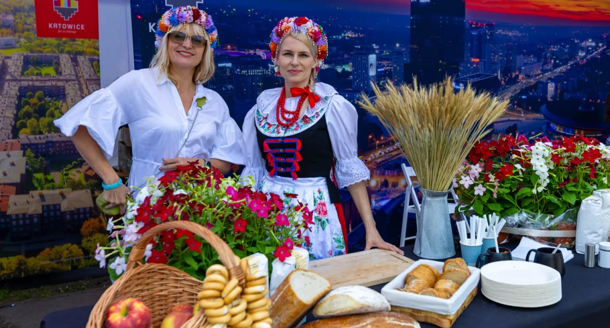 Czas wolny, weekend Parku Zadole odbędzie Festiwal Miast Partnerskich Będzie jedzenie muzyka warsztaty dyskusje - zdjęcie, fotografia