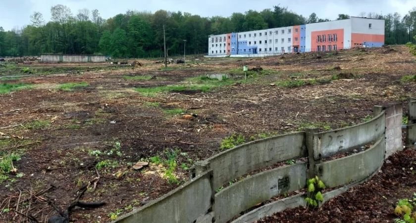 Teren przy Parku Śląskim po wycince, kwiecień 2024.