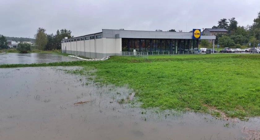 Zdjęcie archiwalne.