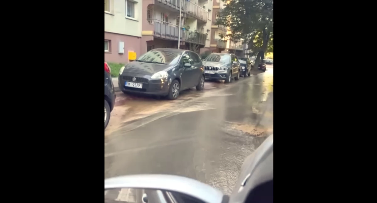 fot. Łukasz Kulasza.