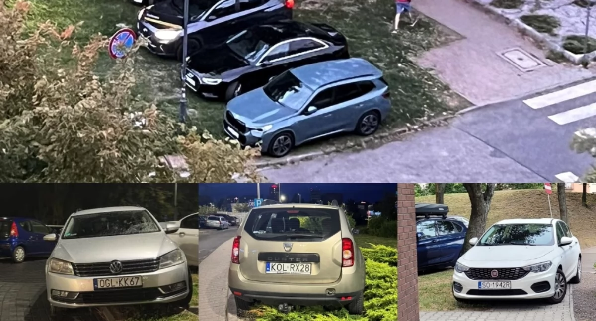 źródło: facebook.com/groups/paderewa