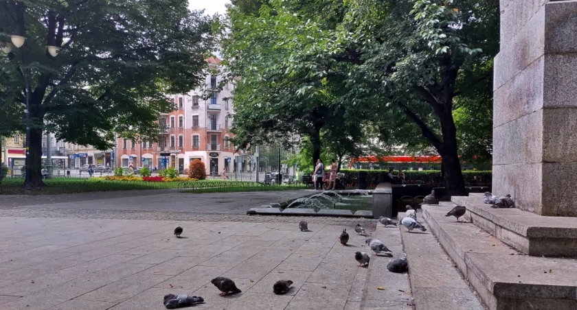 Plac Miarki.