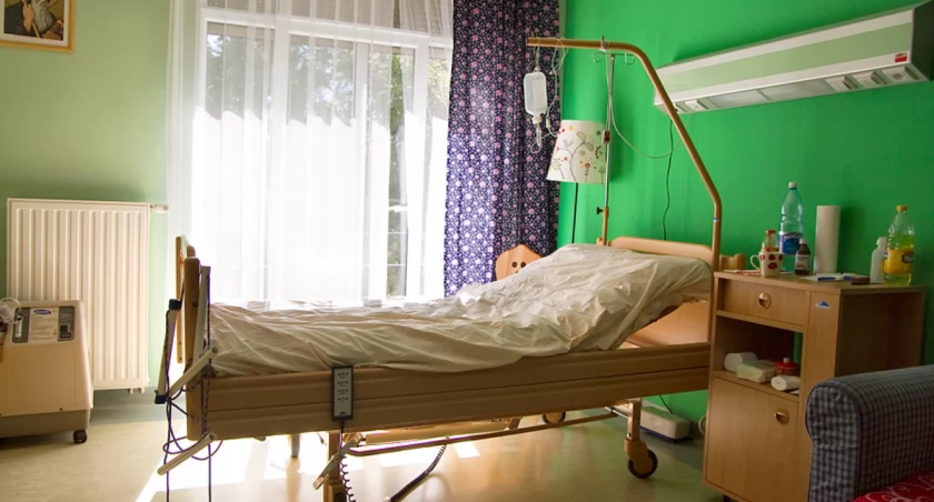 W Katowicach największe wsparcie z 1,5% podatku dostało w 2025 roku Społeczne Towarzystwo 