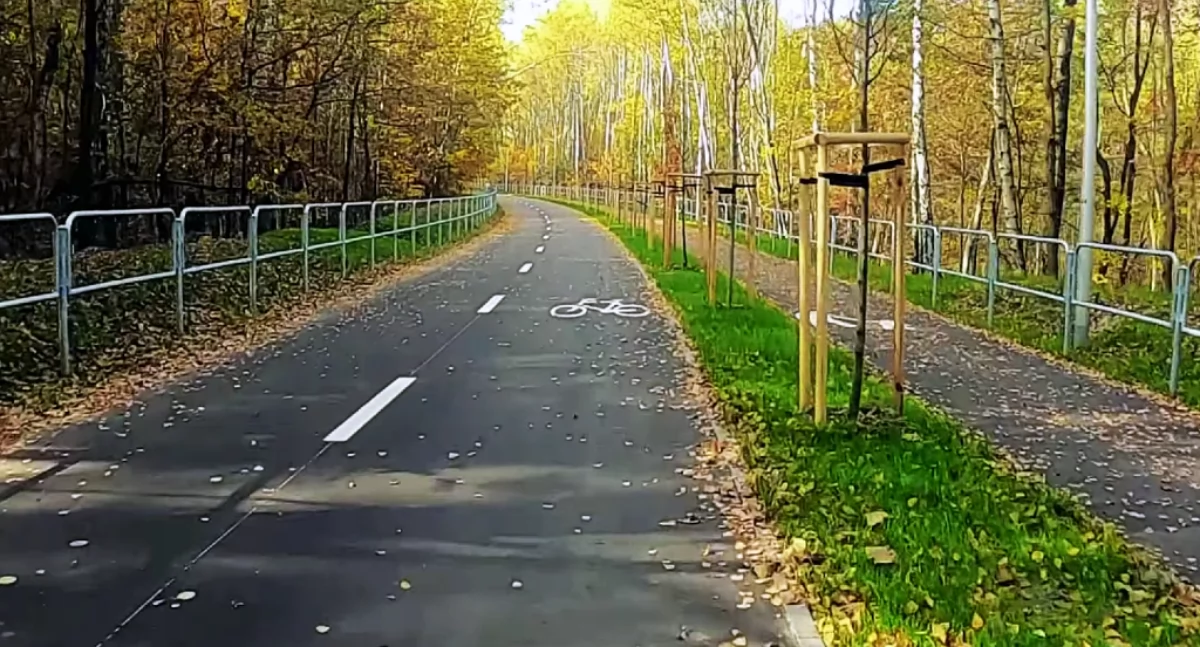 Rowery i hulajnogi, Likwidacja świateł ulica samochodów duża wycinka Powstała koncepcja velostrady Katowice Tychy - zdjęcie, fotografia