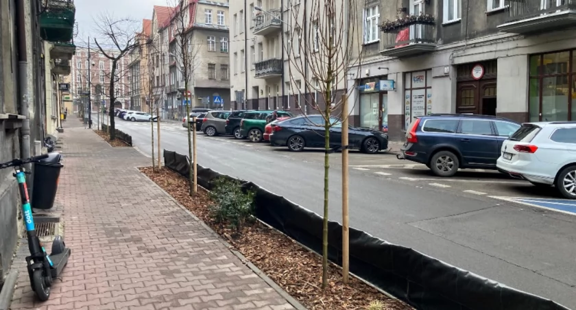 Zieleń na ul. Żwirki i Wigury to projekt z BO.