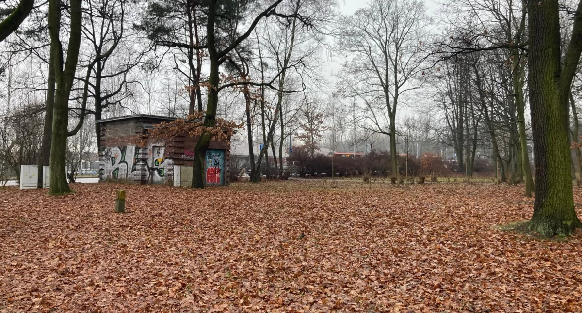 Nowa toaleta powstanie przy ścieżce prowadzącej z ul. Kościuszki w kierunku pomnika Tadeusza Kościuszki.
