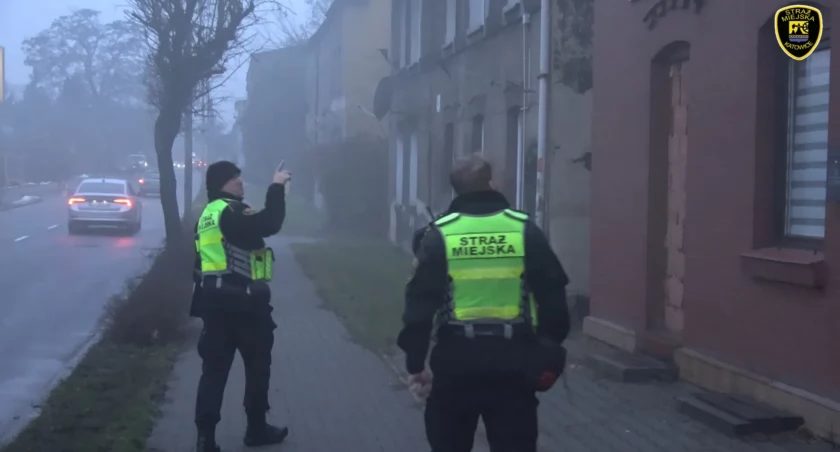 źródło: Straż Miejska w Katowicach