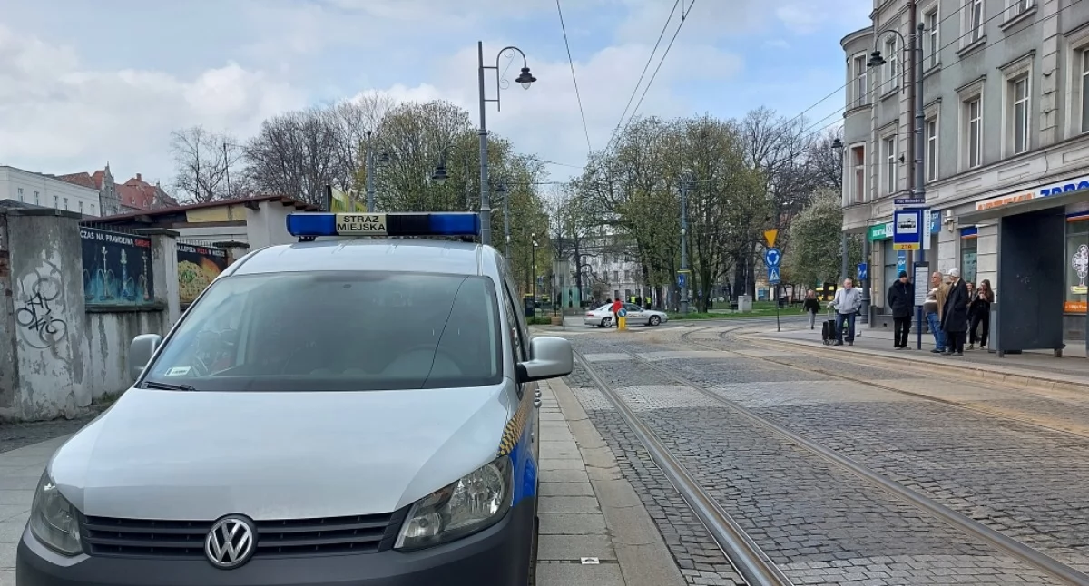 Zdjęcie poglądowe.