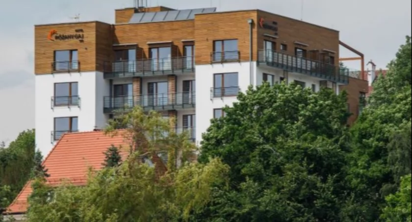 Zdjęcia pochodzą z prospektu dotyczącego hotelu, przygotowanego na przetarg przez JSW.