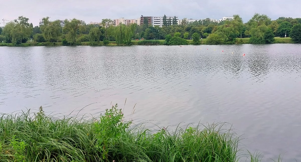 Staw Kajakowy (zdjęcie archiwalne).