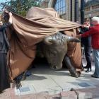 Byk ma prawie 5 metrów długości i waży ok. 1600 kg.
