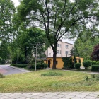 Skoszone rośliny z Zielonego Budżetu (3)