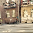 zdjęcie nr 8