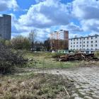 zdjęcie nr 8