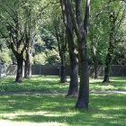 Park Śląski podczas Fest Festivalu (3)