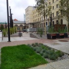 zdjęcie nr 9