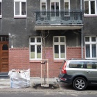Drzewa na Drzymały Katowice (4)