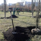 zdjęcie nr 9