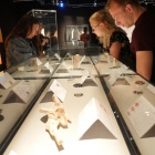 Wystawa Body Worlds Katowice (13)