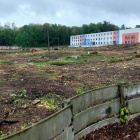 Wycinka przy ul. Targowej 4 w Chorzowie (1)