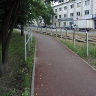 zdjęcie nr 7