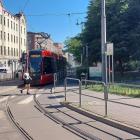 Fotka nr 2 z 6