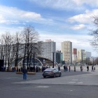 Festiwal roślin Katowice 2021 (8)