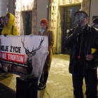 Protest w obronie dzików (5)
