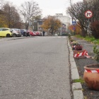 Rośliny zamiast samochodów na ul. Grażyńskiego (1)