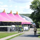 Park Śląski podczas Fest Festivalu (1)