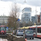 Nasadzenia przy al. Korfantego (8)