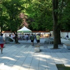 Ogród Japonski (2)