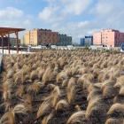 Zabrze Goethego - centrum przesiadkowe (6)