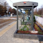 Zielony przystanek (1)
