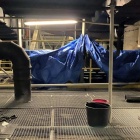 Wiadra pod dachem Spodka, fot. Budoprojekt (1)
