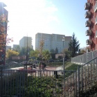 TBS_os. Rozane 8