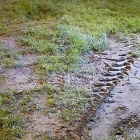 IMG-0419