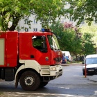 Inwazja biedronki azjatyckiej w Koszutce (1)