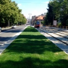 Trawnik pomiędzy torowiskiem i jezdnią