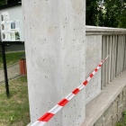 Biedronka azjatycka Katowice (5)
