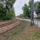zdjęcie nr 9