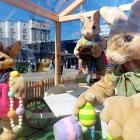 Fotka nr 0 z 11