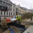Sadzenie drzew na ul. Warszawskiej w Katowicach (5)