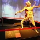 Wystawa Body Worlds Katowice (16)